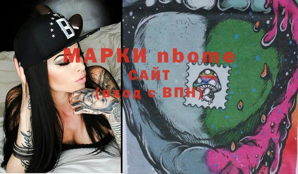соль ск Дмитриев