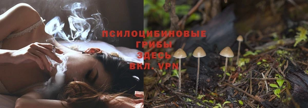 mdpv Гусев
