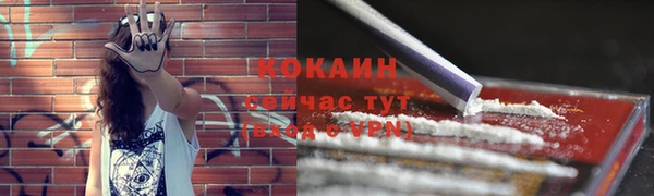 mdpv Гусев
