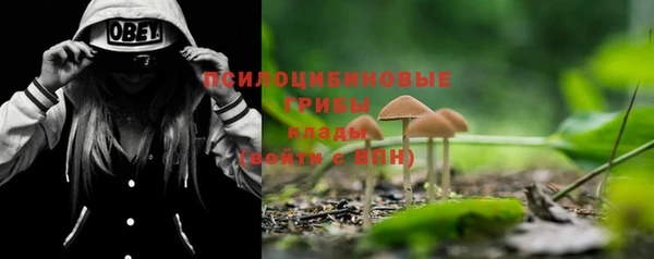 меф VHQ Гусиноозёрск