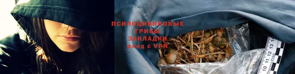 Альфа ПВП Гусь-Хрустальный