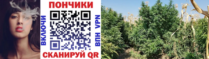 Шишки марихуана гибрид  Серпухов 